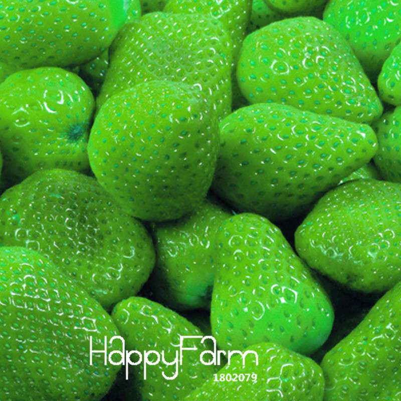 Japanese Hokowase Strawberry Seeds for Planting - Sweet Indoor/Outdoor Fruit Garden (Non-GMO, High Yield)