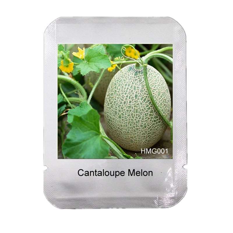 Juicy Cantaloupe Seeds - Extra Sweet, Large Hami Melon for Balcony & Garden - Professional Pack