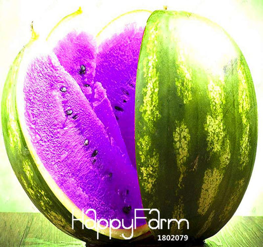 Rare Purple Flesh Watermelon Seeds - Giant Sweet Fruit for Home Garden Planting