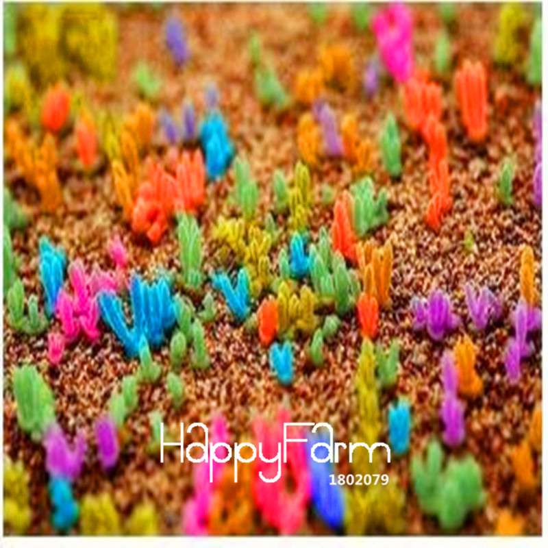 Colorful Monilaria Obconica Seeds - Little Rabbit Succulent Mix for Potted Bonsai & Home Garden