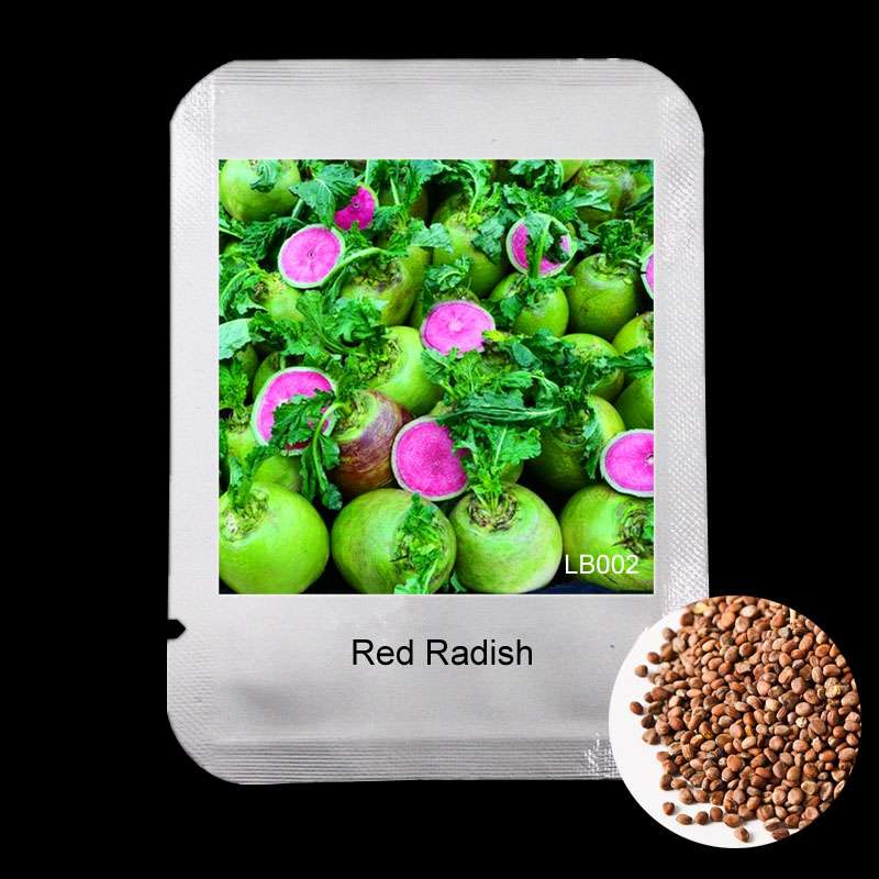 Red Radish Seeds - Delicious, Fast-Growing Vegetable & Bonsai Plant for Home Garden