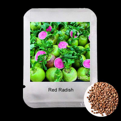 Red Radish Seeds - Delicious, Fast-Growing Vegetable & Bonsai Plant for Home Garden
