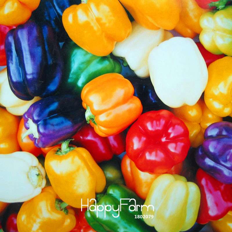 Mixed Color Bell Pepper Seeds - Sweet & Hot Varieties (Yellow, Purple, Red, Green, Blue, White) for Home Garden