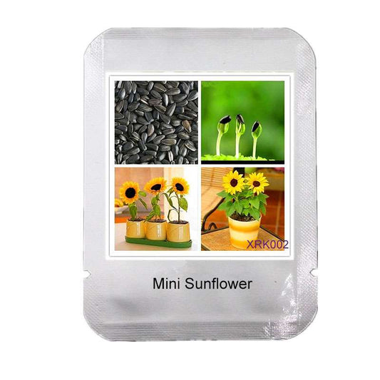 Mini Sunflower Seeds - Dwarf Sunflower, 40cm Bonsai Flower Seeds | Professional Packing