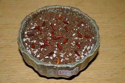 Exotic Mixed Colors Desert Rose Seeds - Fire Red Heart Bonsai, for Home Garden