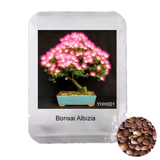 Albizia Julibrissin Seeds - Mimosa Silk Tree for Bonsai & Potted Ornamental Plants | Professional Pack