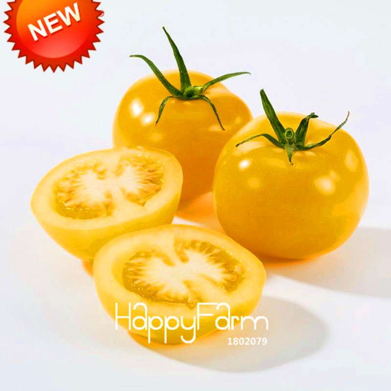 Organic Yellow Tomato Seeds for Planting - Sweet Home Garden Balcony, Non-GMO, Easy Grow