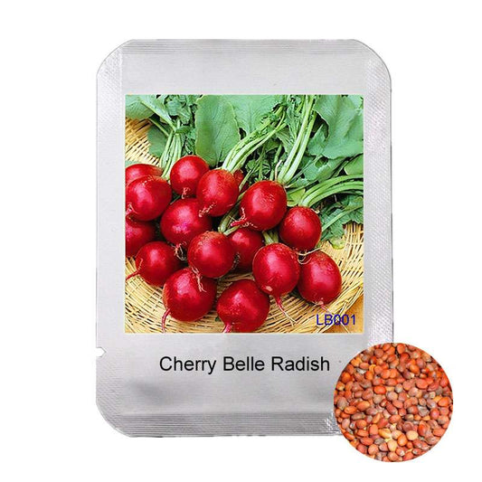 Cherry Belle Radish Seeds - Sweet, Delicious & Easy to Grow for Home Garden | Non-GMO, High Germination Rate
