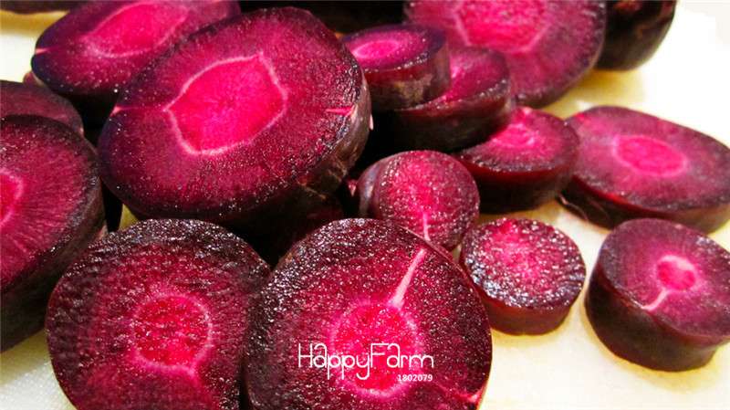Purple Dragon Carrot Seeds - Non-GMO Home Garden Seeds, Anti-Aging & Bonsai Plant