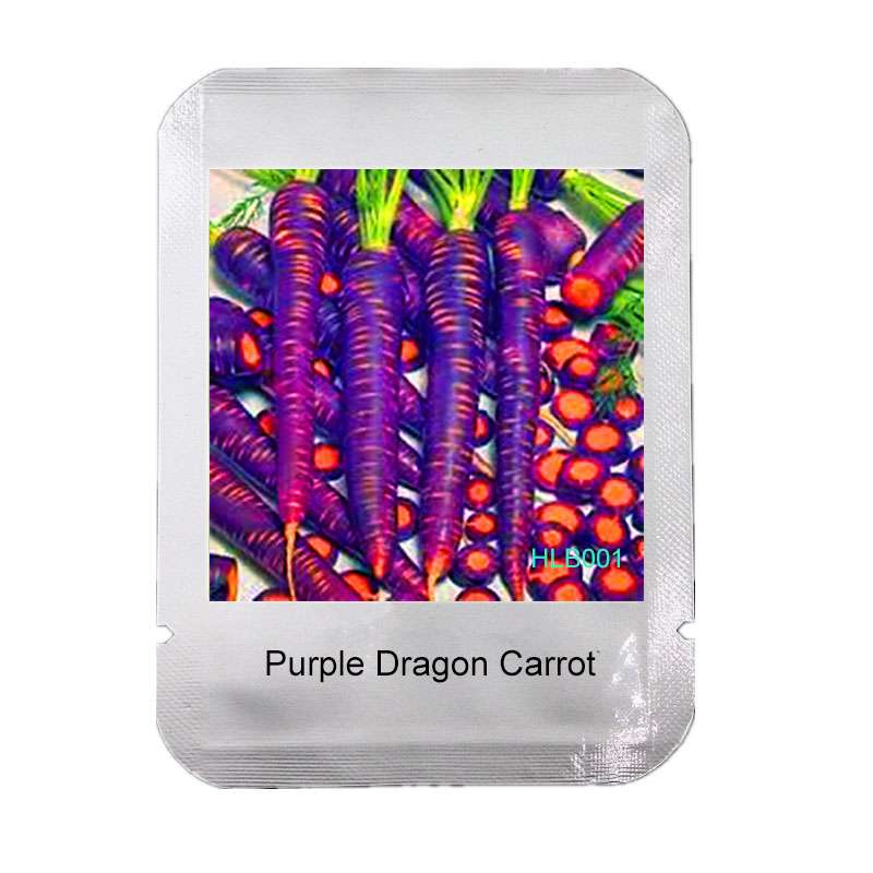 Purple Dragon Carrot Seeds - Non-GMO Home Garden Seeds, Anti-Aging & Bonsai Plant
