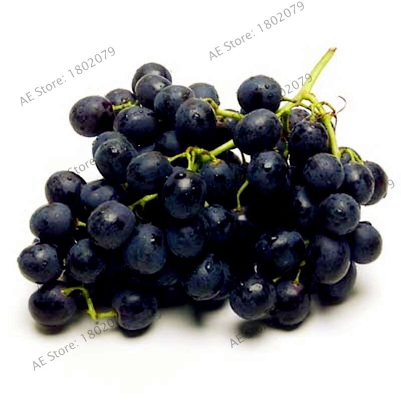 Black Kyoho Grape Seeds - Sweet Natural Fruit Seeds for Planting, Deep Purple Home Garden Seeds