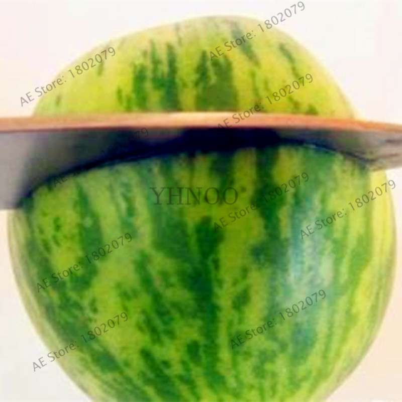 Thumb Watermelon Seeds - Non-GMO, Easy-Grow Cucamelon Bonsai Fruit for Home Garden