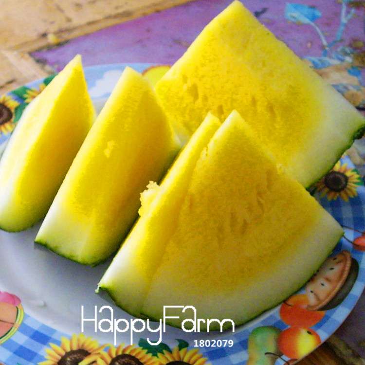 Yellow Flesh Watermelon Seeds for Planting - Sweet Home Garden Fruit, Non-GMO, High Yield