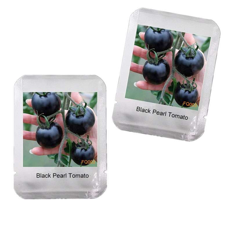 Black Pearl Tomato Seeds - Non-GMO, Heirloom, Balcony & Bonsai Potted Plant for Home Gardening - USA Shipping