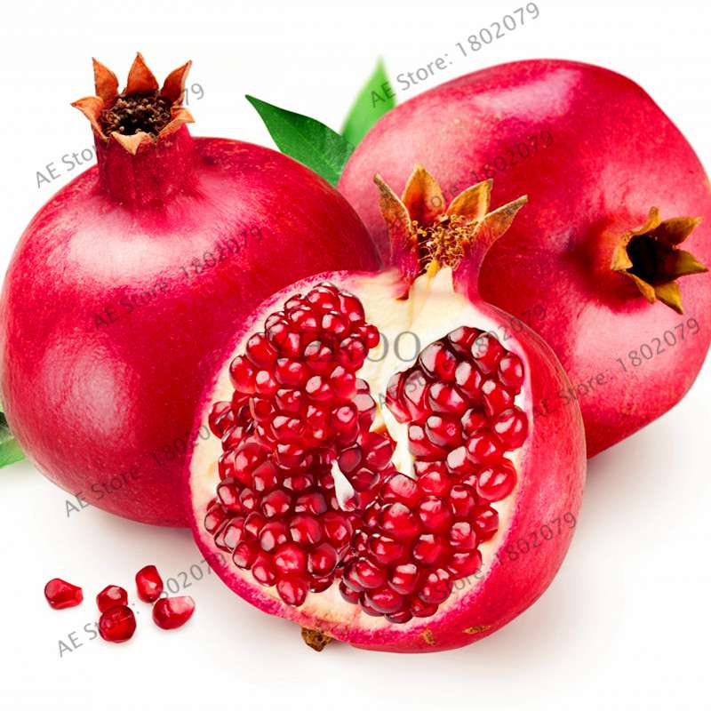 Mini Pomegranate Seeds - Japanese Dwarf Fruit Bonsai for Home Garden Planting | Fast-Growing