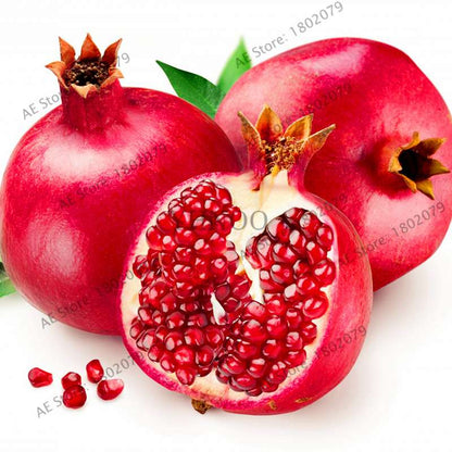 Mini Pomegranate Seeds - Japanese Dwarf Fruit Bonsai for Home Garden Planting | Fast-Growing