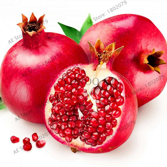 Mini Pomegranate Seeds - Japanese Dwarf Fruit Bonsai for Home Garden Planting | Fast-Growing