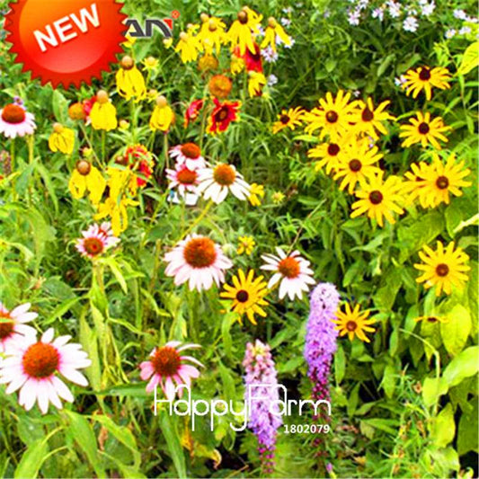 Mixed Wildflower Seeds - Perennial, Aromatic & Fragrant Flowers for Planting