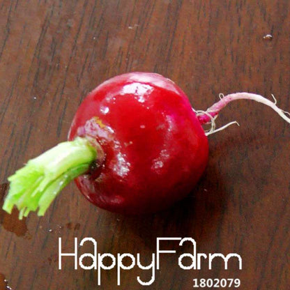 Organic Cherry Radish Seeds - for Balcony, Potted Planting, Fresh Green Veggies | Non-GMO