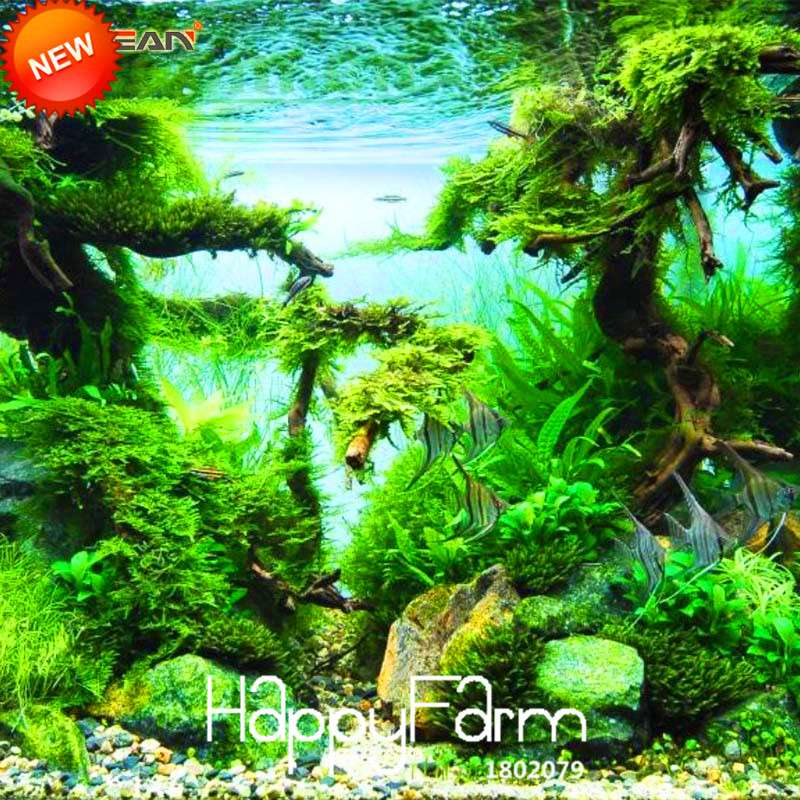 Aquarium Grass Seeds - Random Aquatic Plants for Indoor Tank Beautification | Fast-Growing Water Grass