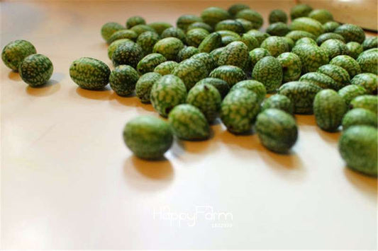 Buy Mouse Melon Seeds - Non-GMO, Heirloom, Crunchy & Tangy Fruit - Fun for Kids, Easy to Grow