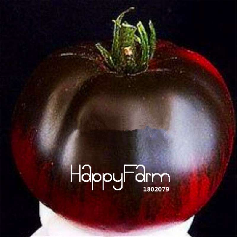 Rainbow Tomato Seeds - Organic Bonsai Veggie & Fruit Seeds for Home Garden, Non-GMO, Easy Grow