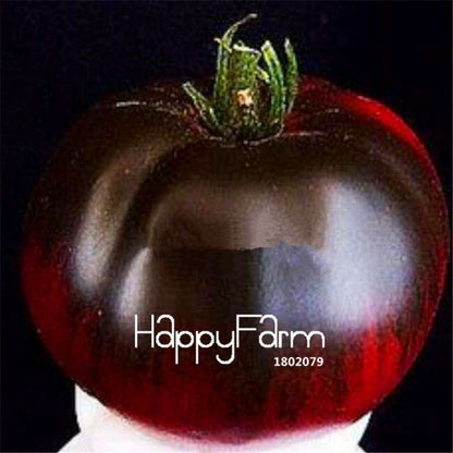 Rainbow Tomato Seeds - Organic Bonsai Veggie & Fruit Seeds for Home Garden, Non-GMO, Easy Grow