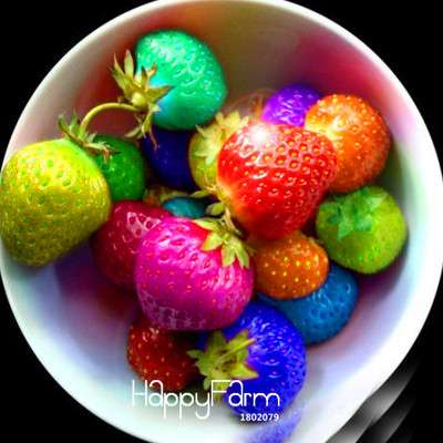 Rainbow Strawberry Seeds - Colorful, Sweet & Easy to Grow for Home Garden