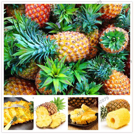 Sweet Yellow Pineapple Corn Seeds - Delicious Fruit & Vegetable Seeds for Planting