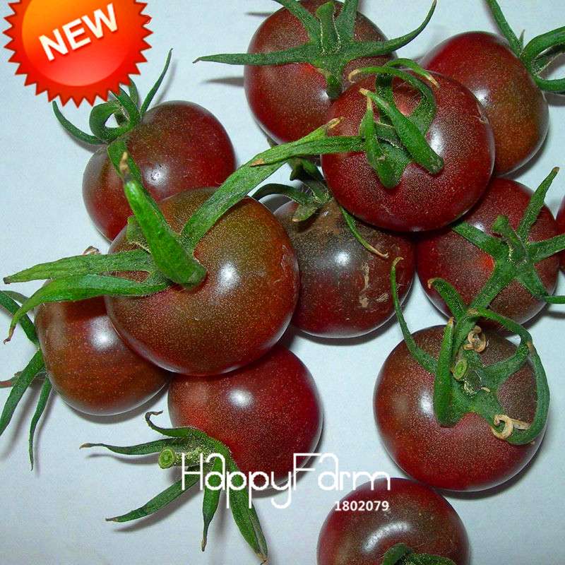 Organic Chocolate Black Tomato Seeds - for Home Garden, Non-GMO Heirloom Vegetable Seeds