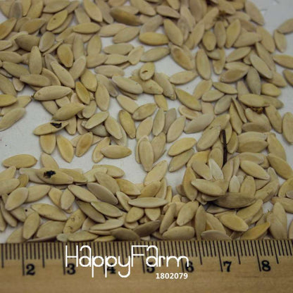 Cucumber Seeds for Planting - Multiple Varieties, Perfect for Balcony, Courtyard & Bonsai | Non-GMO Vegetable & Fruit Seeds