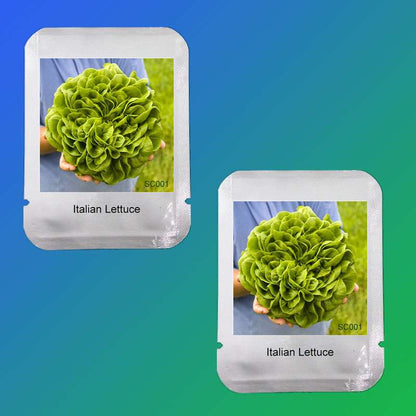 Italian Lettuce Seeds - Easy to Grow, Delicious & Fresh for Salads, Home Garden DIY, Professional Pack