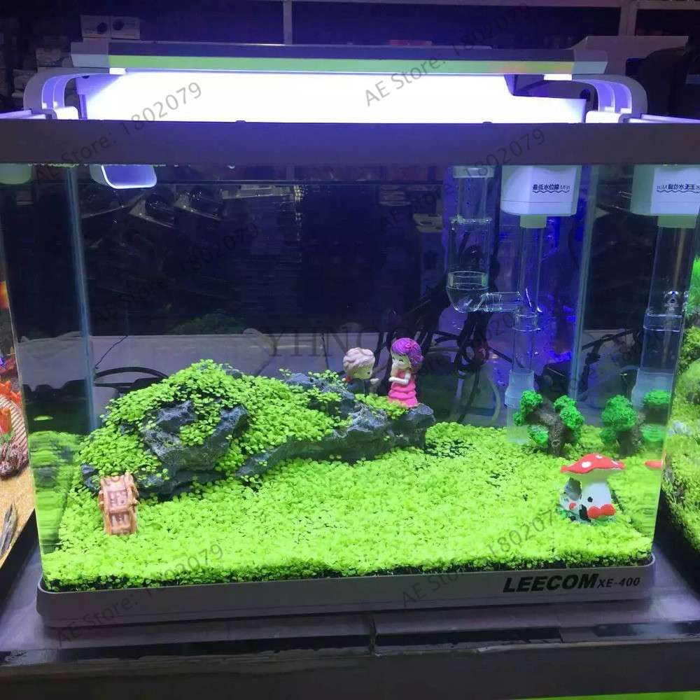 Aquarium Seeds - Glossostigma Hemianthus Callitrichoides for Fish Tank, Live Aquatic Plants, Mini Leaf Water Grass Decor