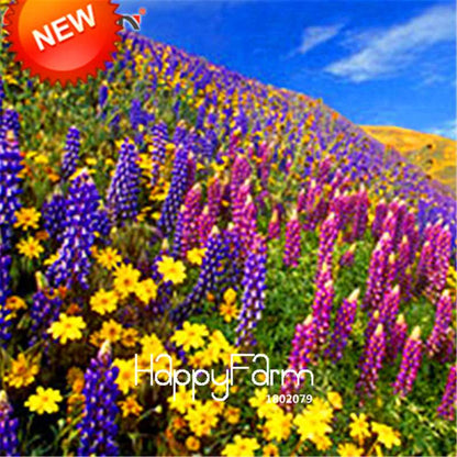 Wildflower Seeds Mix - Perennial Colorful Blooms for Home Garden Planting