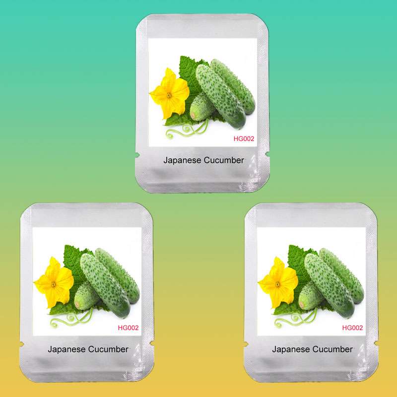 Fast-Growing Japanese Cucumber Seeds - Premium Cucumis Sativus Seeds for Home Garden