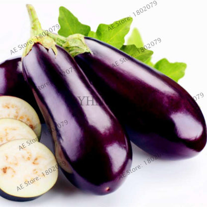 Organic Black Long Eggplant Seeds - Non-GMO, for Home Garden Planting | Heirloom Vegetable