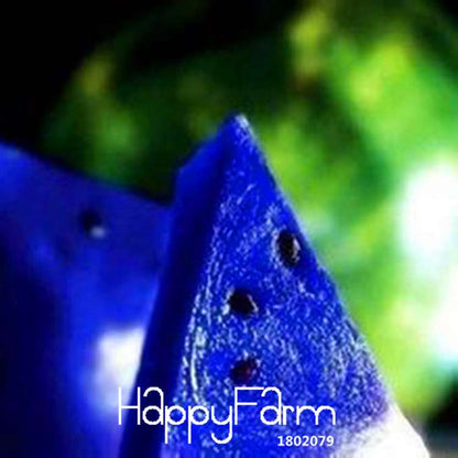 Blue Flesh Watermelon Seeds - Sweet, Non-GMO, Edible Fruit for Bonsai & Home Gardening