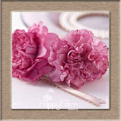 16 Colors Dianthus Caryophyllus Flower Seeds, Balcony Potted Garden Plants, Carnation Seeds for Home & Courtyard