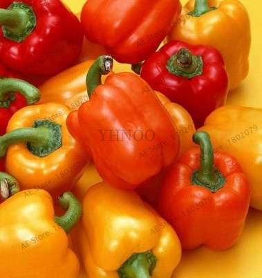 Giant Spicy Red Chili Pepper Seeds - Hot Heirloom Plants for Garden, Pots & Balcony - Non-GMO Bonsai Seeds