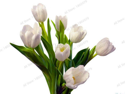 Rare Tulip Seeds - Beautiful Perennial Bonsai Flowers for Home & Garden Planting