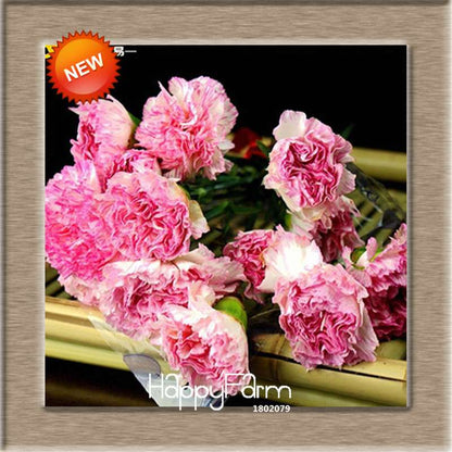 16 Colors Dianthus Caryophyllus Flower Seeds, Balcony Potted Garden Plants, Carnation Seeds for Home & Courtyard