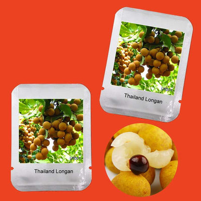 Thai Longan Seeds - Extra Sweet & Large Bonsai Fruit for Home Garden | Easy-Grow Professional Pack