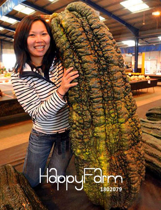Rare Giant Bean Seeds for Planting - Unique Garden Decor & Vegetable Seeds