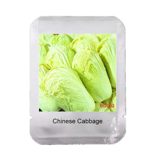 Easy-Grow Chinese Cabbage Seeds | Nutritious Brassica Pekinensis | Fast-Growing Vegetable Seeds