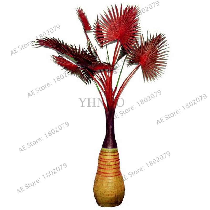 Bottle Palm Tree Seeds - Exotic Tropical Bonsai Plants for Home & Garden - Fast Shipping