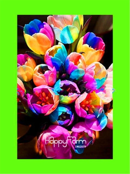 Dutch Tulip Flower Seeds - Potted Bonsai for Home & Garden Planting