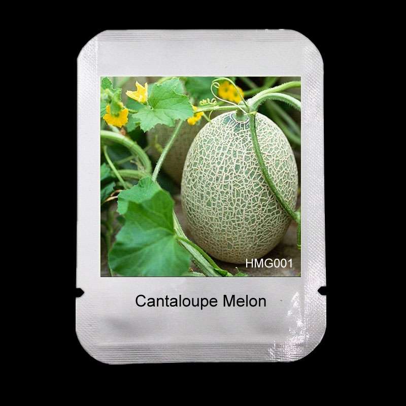 Juicy Cantaloupe Seeds - Extra Sweet, Large Hami Melon for Balcony & Garden - Professional Pack