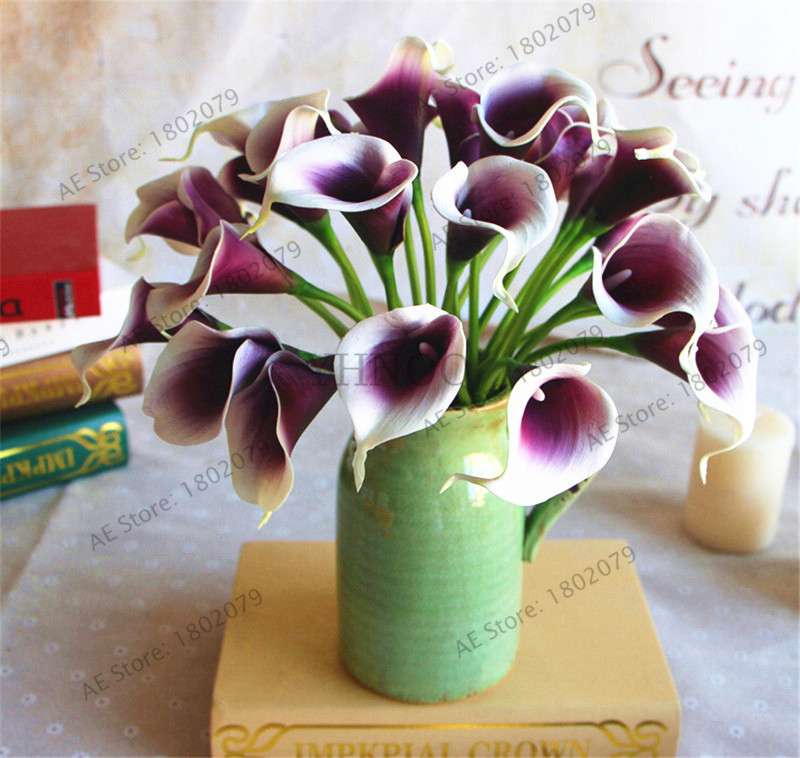 Rare Mixed Color Calla Lily Seeds - Beautiful Bonsai Flowers for Home Garden & Backyard Planting
