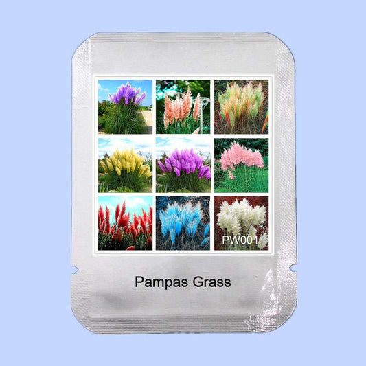 Rainbow Pampas Grass Seeds - 9 Colors, Rare Bonsai Plant for Home Garden - Limited - Fast Shipping