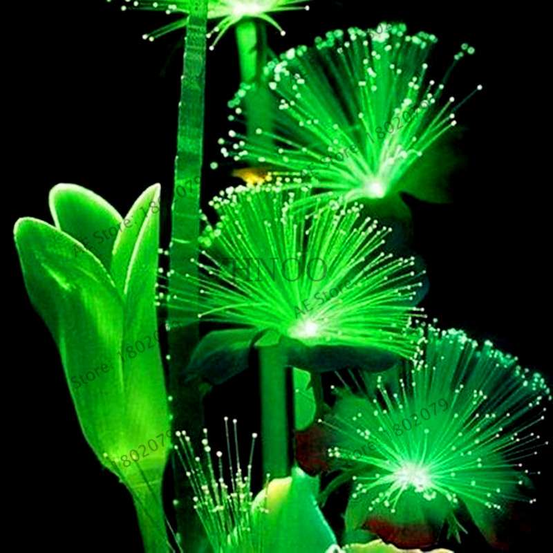 Fluorescent Emerald Aquarium Grass Seeds - Vibrant Water Plant Decor for Fish Tanks | Fast-Growing & Easy Care
